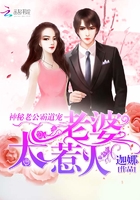 神秘老公霸道宠:老婆,太惹火